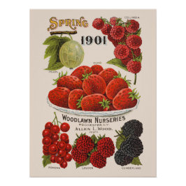 Vår bär perfect poster