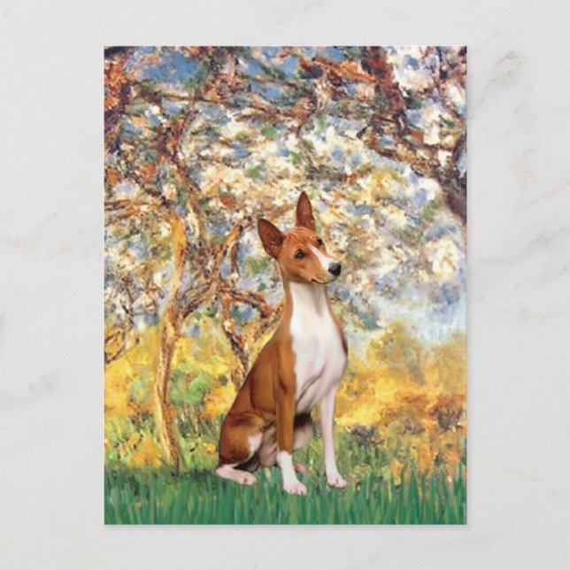 Vår - Basenji Vykort (Framsida)