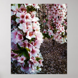 VÅR BEAUTY JAPANESE MAGNOLIA poster
