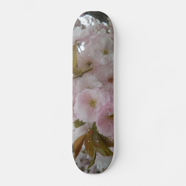 Vår Beauty Skateboard (Framsida)