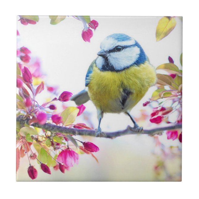 Vår Bird Kakelplatta (Framsidan)