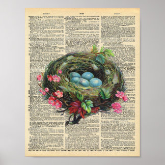 Vår Birds Nest på vintagen ordlista Poster
