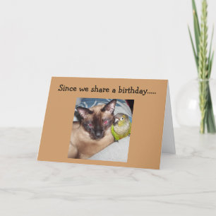 "VÅR BIRTHDAY" ÄR HÄR! HOPPAS ATT DET ÄR PURR-FECT KORT