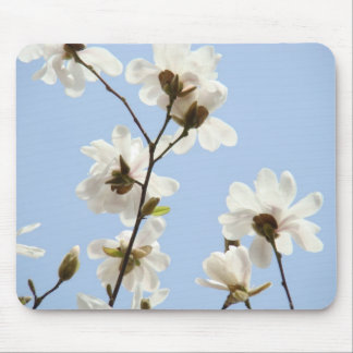 Vår Blå Himmel Vit Magnolia Blommor musmattor