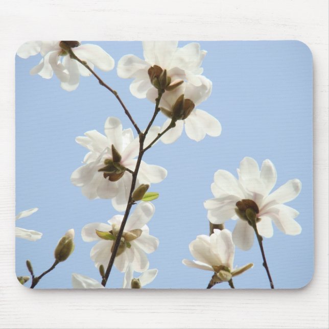 Vår Blå Himmel Vit Magnolia Blommor musmattor (Framsidan)