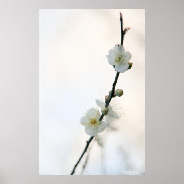 Vår Bliss Poster (Framsidan)