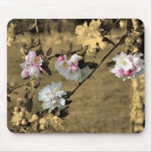 Vår blomma Blommar i Sepia Musmatta