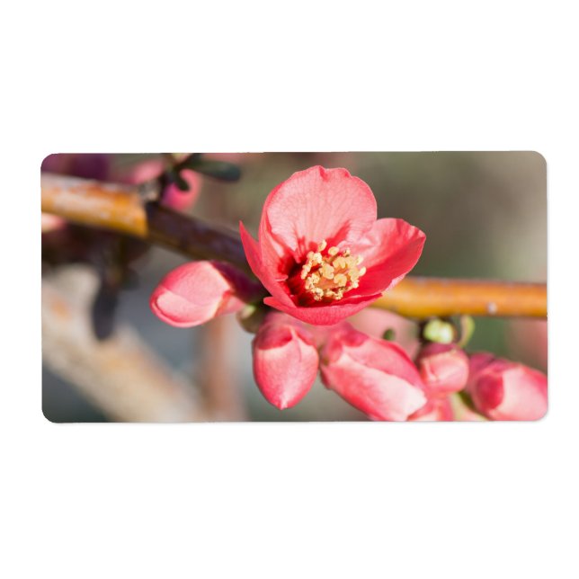 Vår blomma fraktsedel (Framsidan)