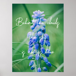 Vår blomma (vinhyacint) poster
