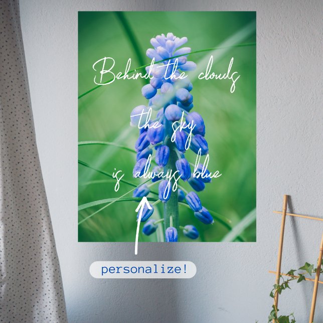 Vår blomma (vinhyacint) poster (Skapare uppladdad)