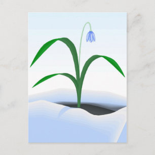 Vår blomman i snö vykort