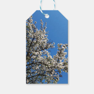 Vår Blommar Apple Träd Presentetikett