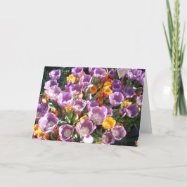 Vår Blommar ett Helgkort