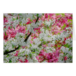 Vår Blommar Färg Hälsningskort