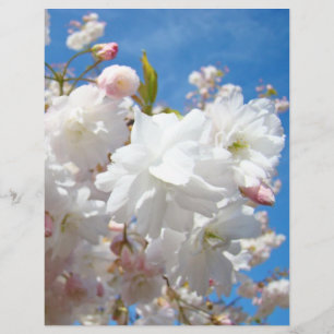 Vår Blommar Flyers pappra blommor i Blå himmel