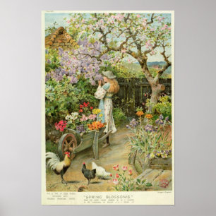 Vår Blommar, från Päron Årligen 1902 Poster