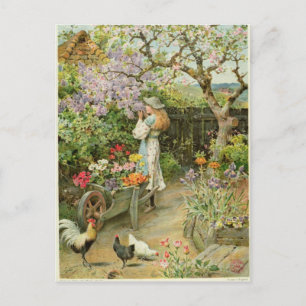 Vår Blommar, från Päron Årligen 1902 Vykort