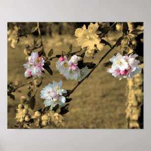 Vår Blommar i Vintage Sepia Partial Färg Poster