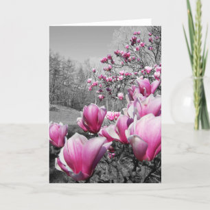 Vår Blommar Kort