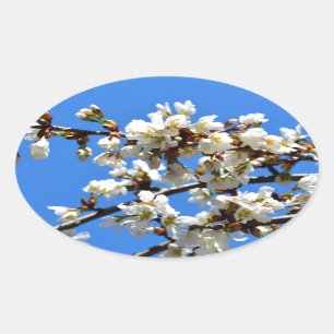 vår blommar ovalt klistermärke