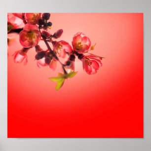 Vår blommar över röd bakgrund poster