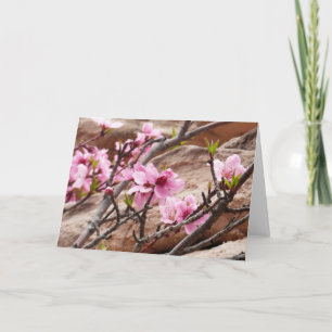 Vår Blommar på Zion Sten Kort