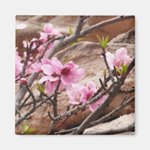 Vår Blommar på Zion Sten Magnet