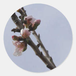 Vår Blommar Stickers Runt Klistermärke