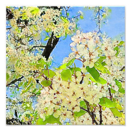 Vår Blommar Träd - vattenfärgsfotoutvidgning Fototryck