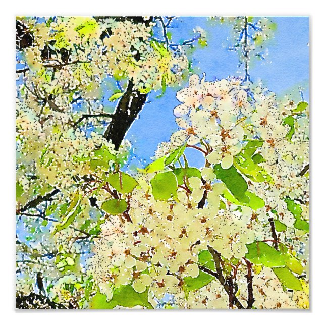 Vår Blommar Träd - vattenfärgsfotoutvidgning Fototryck (Framsidan)
