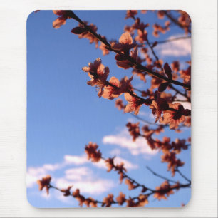 Vår Blommars Mousepad Musmatta