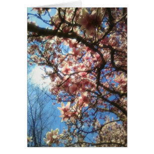 Vår Blommars Notecard OBS Kort