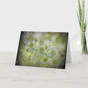 Vår Blommigt Kort