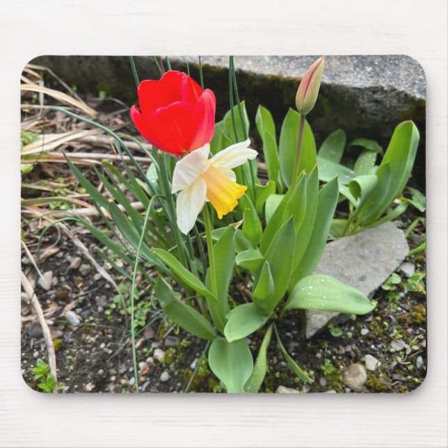 Vår blommigt-musknapp musmatta (Framsidan)