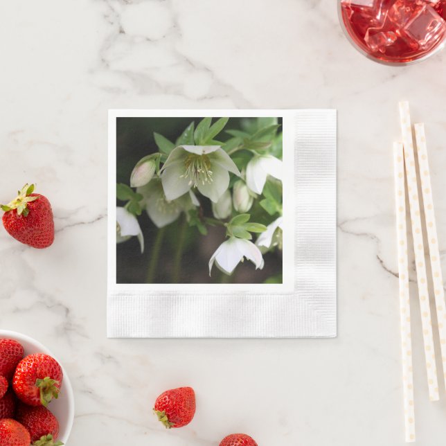 Vår Blommigt Pappersservett (Insitu)