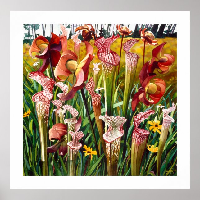 "Vår blommor" Blommigt Vattenfärgsbild Poster (Framsidan)