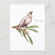 Vår blommor fåglar. Snödroppar.