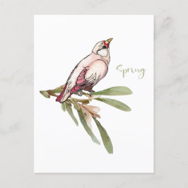 Vår blommor fåglar. Snödroppar. Helg Vykort