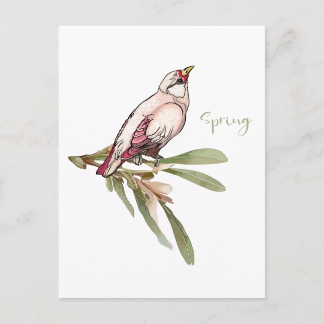 Vår blommor fåglar. Snödroppar. Helg Vykort (Framsida)