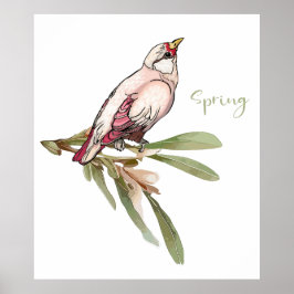 Vår blommor fåglar. Snödroppar. Poster