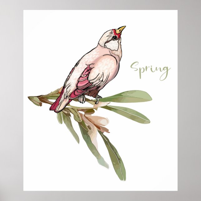 Vår blommor fåglar. Snödroppar. Poster (Framsidan)