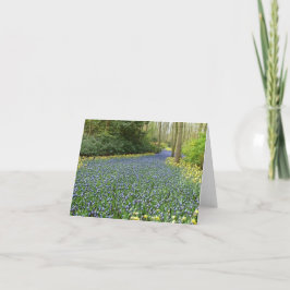 Vår blommor - flod av hyacint kort