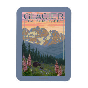 Vår blommor - glaciärnationalpark, MT Magnet