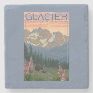 Vår blommor - glaciärnationalpark, MT Stenunderlägg