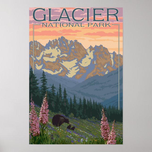 Vår blommor - Glacier National Park, MT Poster (Framsidan)