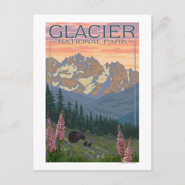 Vår blommor - Glacier National Park, MT Vykort (Framsida)