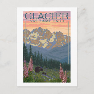 vår blommor - Glacier National Park, MT Vykort
