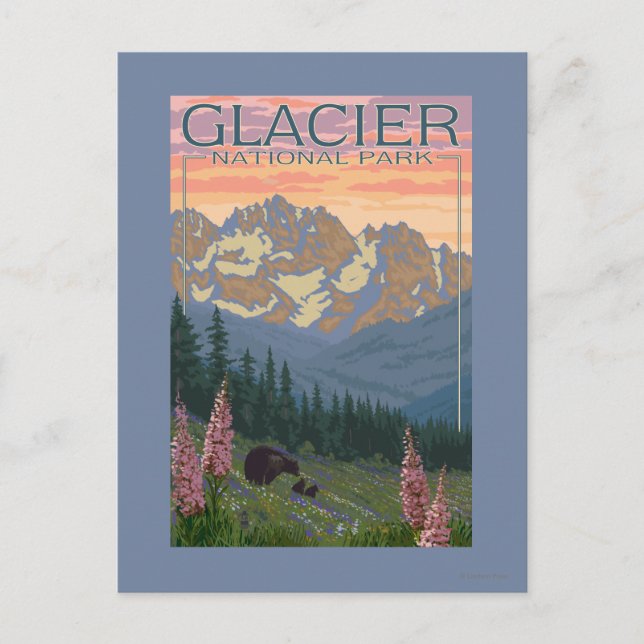 Vår blommor - Glacier National Park, MT Vykort (Framsida)