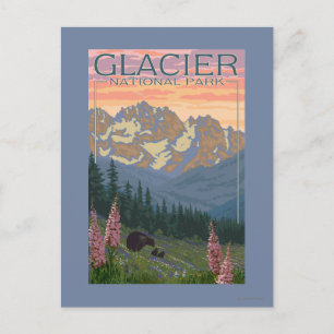 Vår blommor - Glacier National Park, MT Vykort