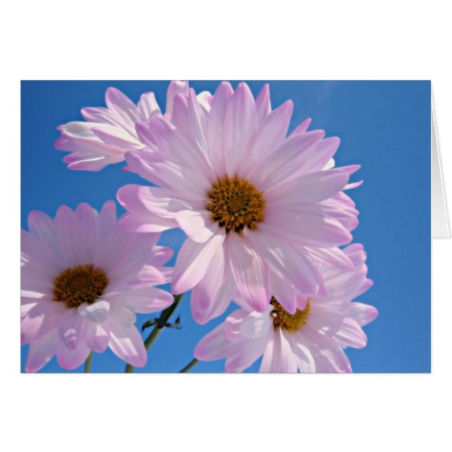 Vår blommor hälsningskort (Framsidan Horizontal)